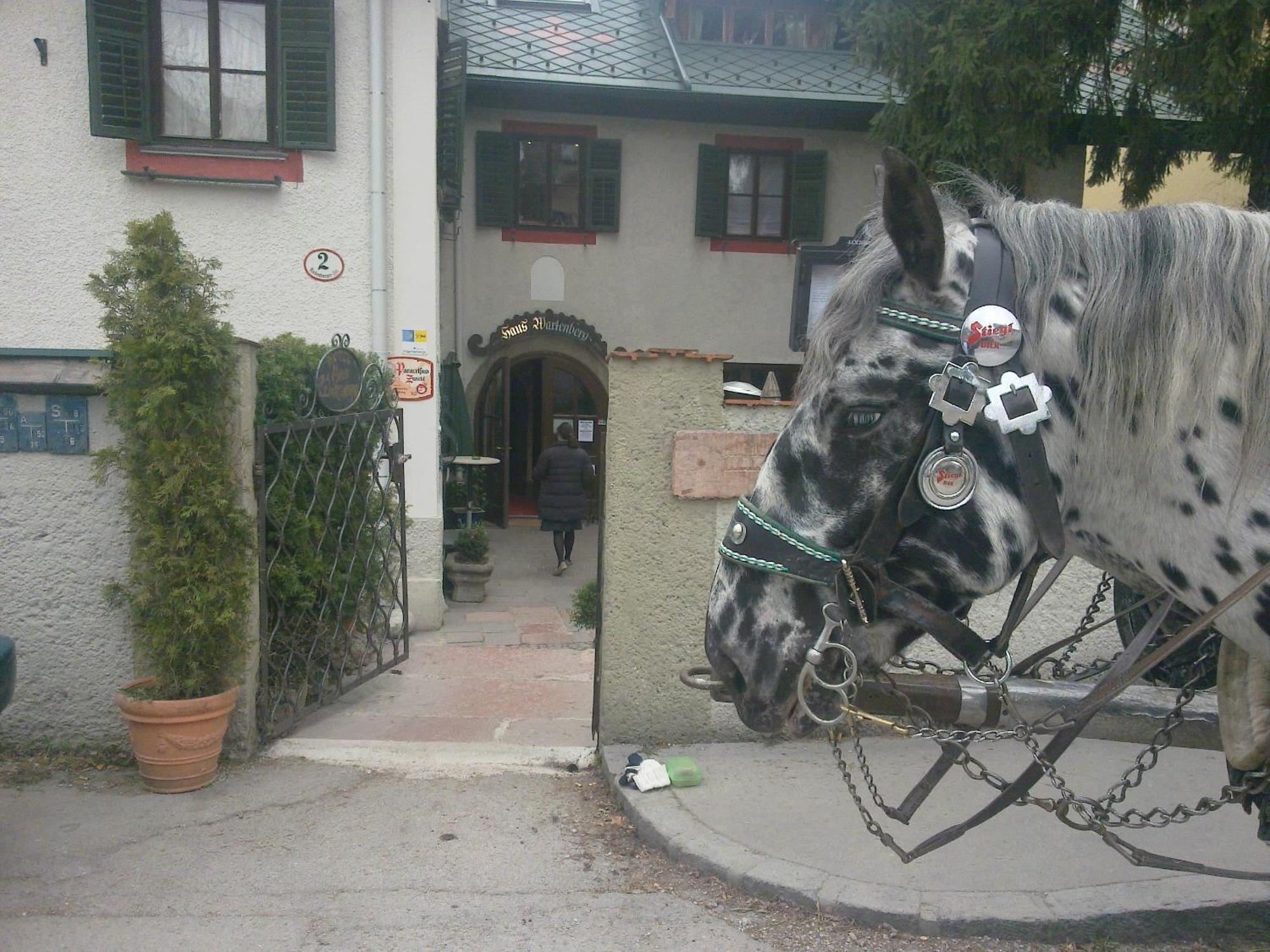 Haus Wartenberg Hotel Salzburg Exterior photo